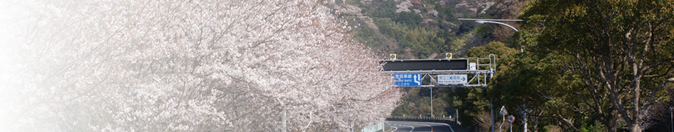 伊方町プロフィールのタイトル画像